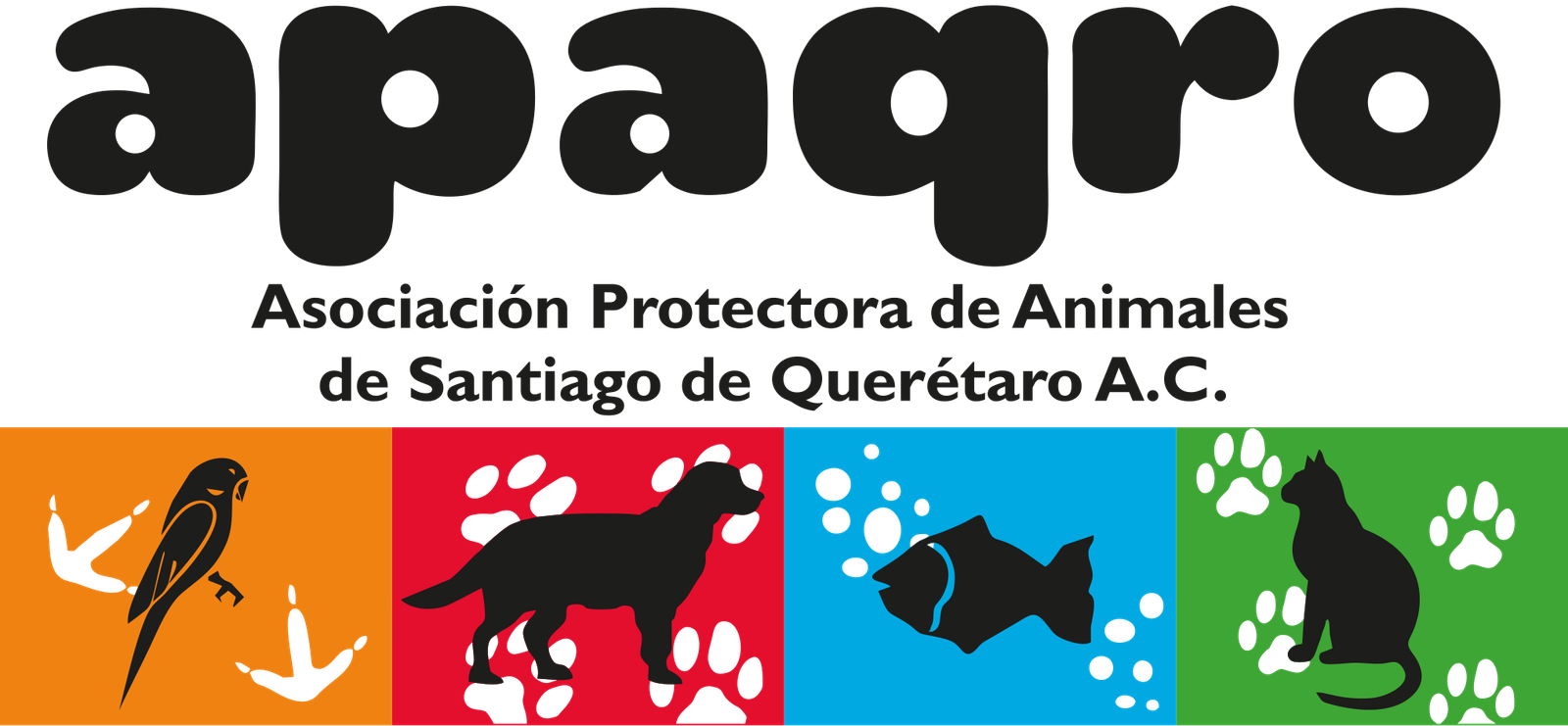 Adopta